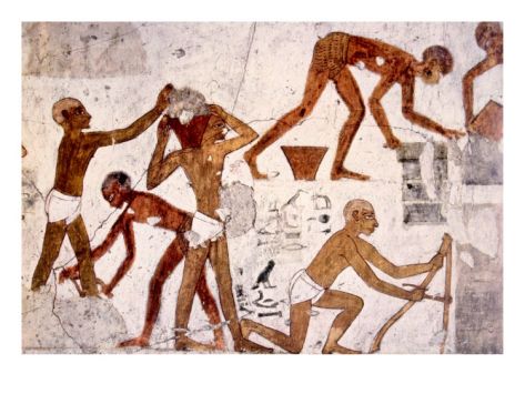 f8e5592e30e73b1eab5ff6ad6adec44d