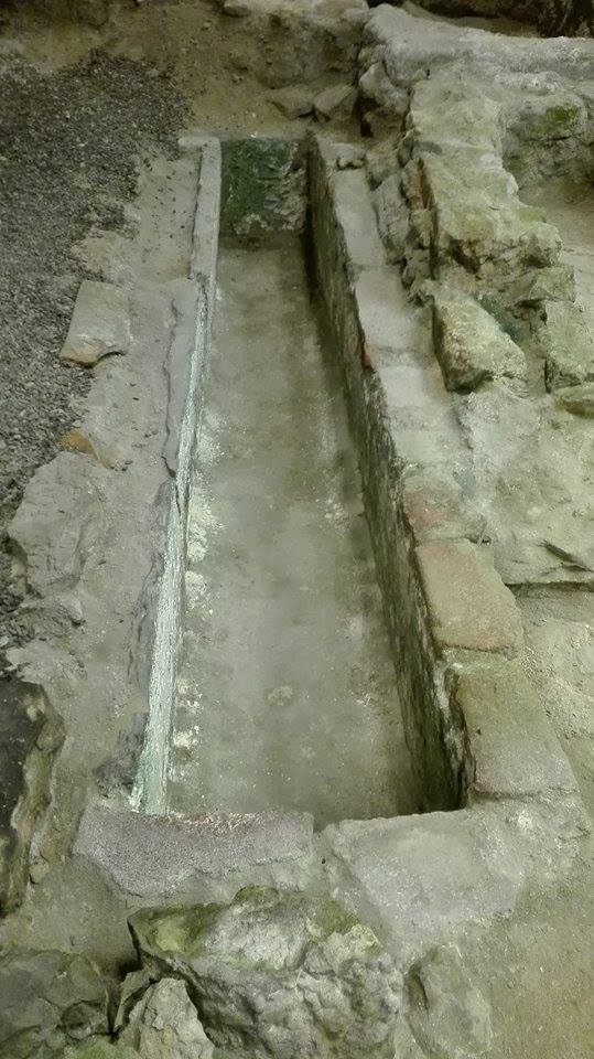 13472347_644339292382727_61738728_n